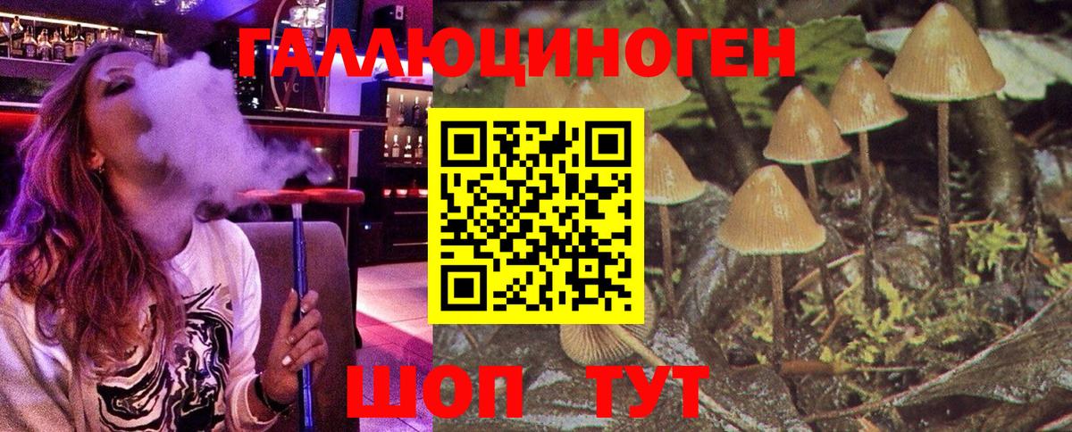 Стрежевой  Галлюциногенные грибы GOLDEN TEACHER  Вход с VPN 